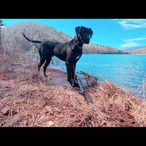 Meet your Posher, Lanie